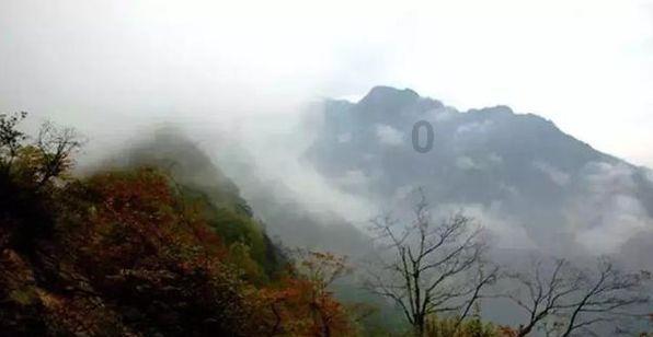 次元喵
