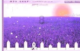 《繁花》破局,热度榜第一座居高不下!中文显示