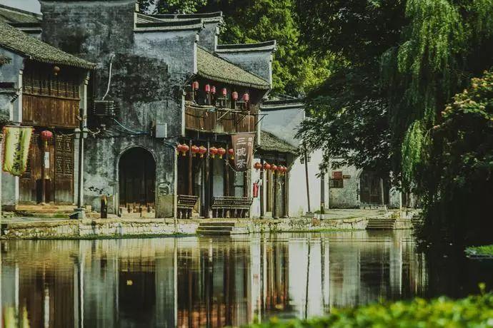 星动，只为你