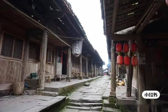 冷知识分享平台 | 你第一个花钱追的星是谁? - 探索奇闻趣事,发现知识的乐趣