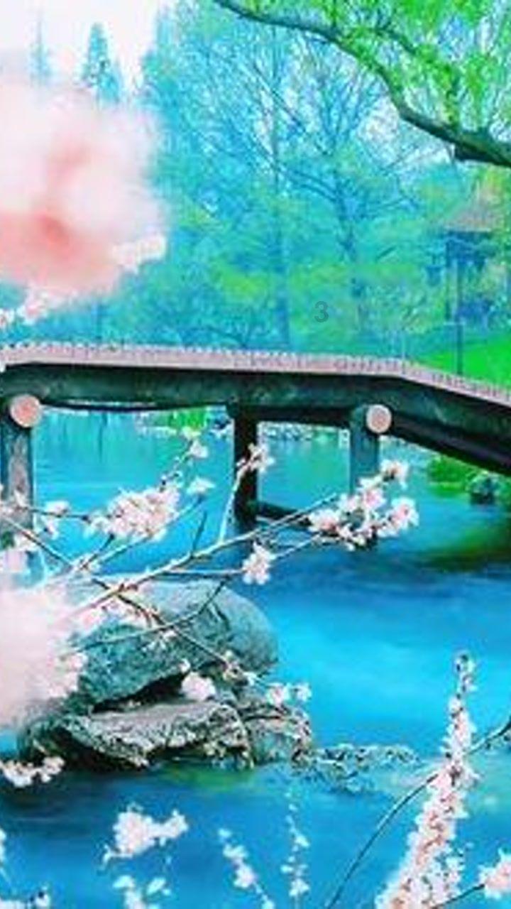 沉睡的骑士